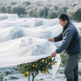 Keajaiban Anggur Ais: Mengapa Vineyards Kanada Beralih ke Spunlace yang Dilan...