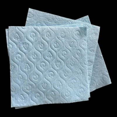Fabrik Nonwoven Penyerap untuk Teras Lampin